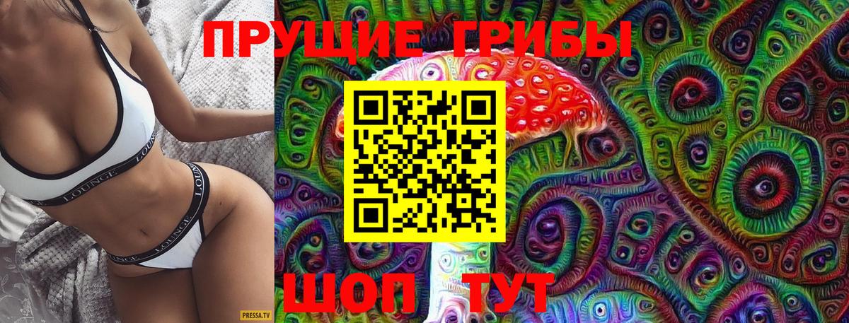 Псилоцибиновые грибы Psilocybe Канаш